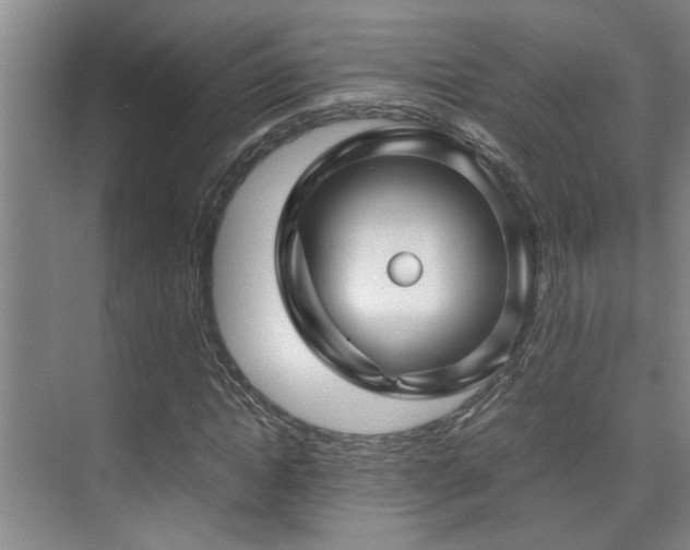 X0000075840822200609151302