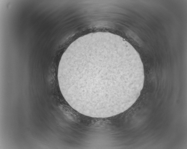 X0000075840824200609151302