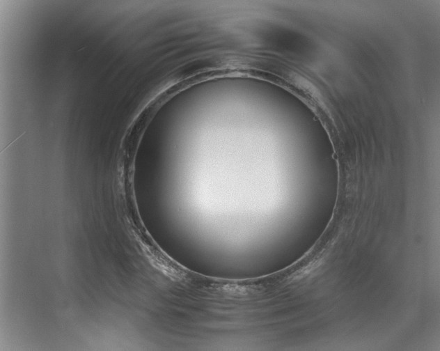 X0000075840827200609151302