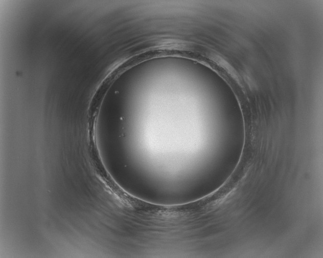 X0000075840829200609151302