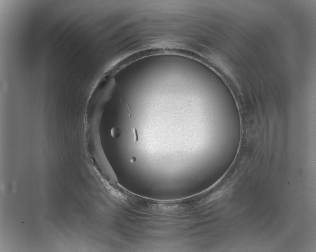 X0000075840831200609151302