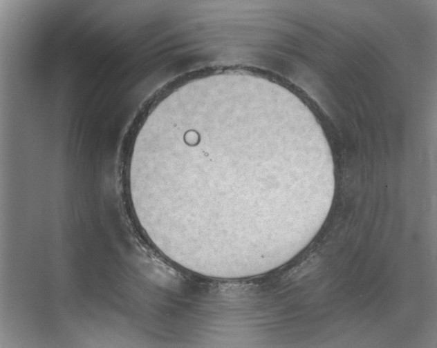 X0000075840832200609151302