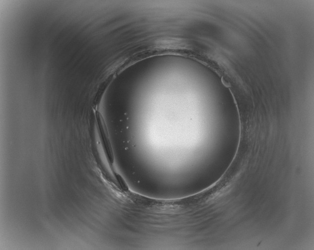 X0000075840833200609151302