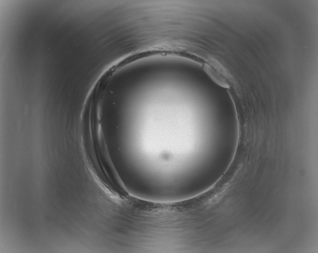 X0000075840838200609151302