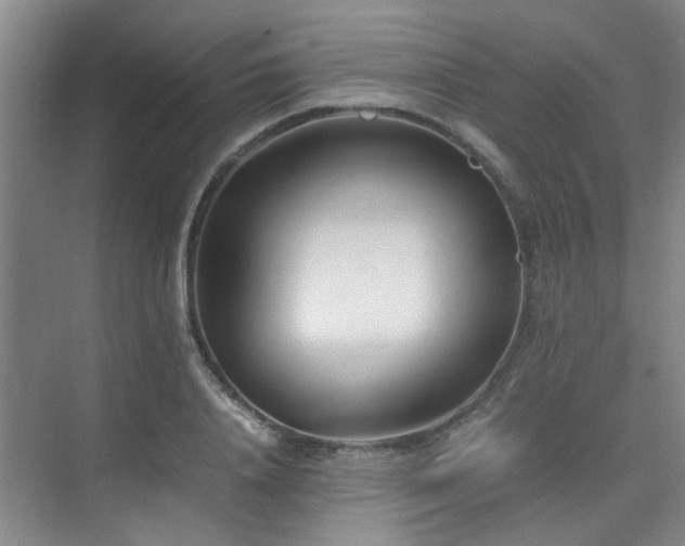 X0000075840840200609151302