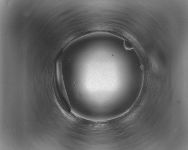 X0000075840841200609151302