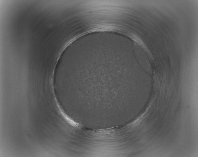 X0000075840842200609151302