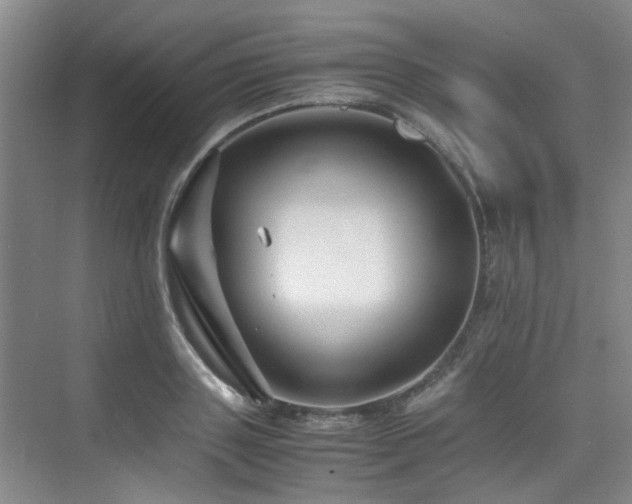 X0000075840843200609151302