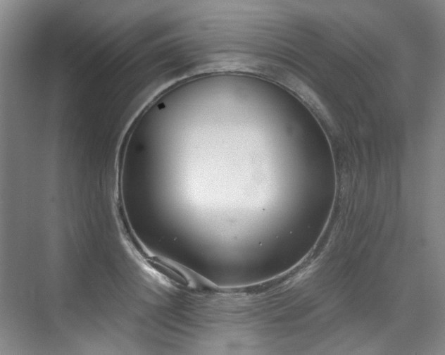 X0000075840844200609151302