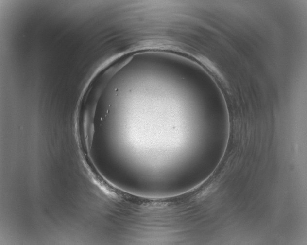 X0000075840846200609151302