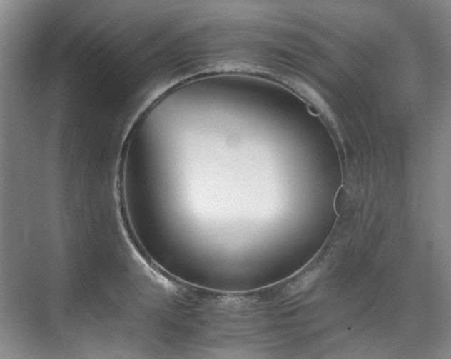 X0000075840847200609151302