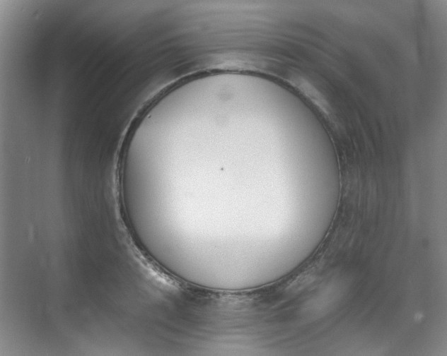 X0000075840848200609151302