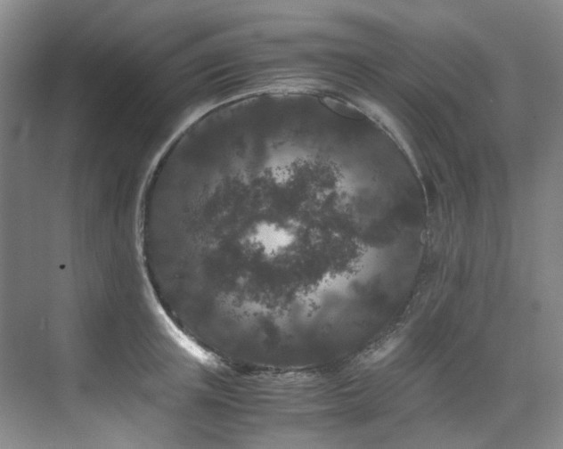 X0000075840851200609151302