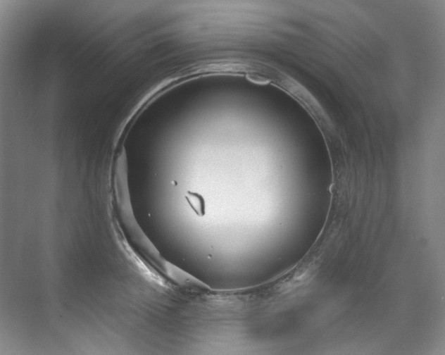 X0000075840852200609151302