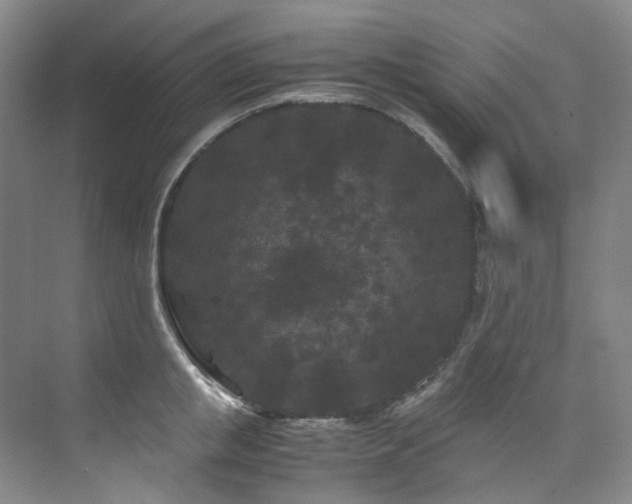 X0000075840853200609151302