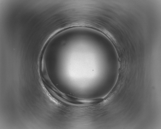 X0000075840854200609151302