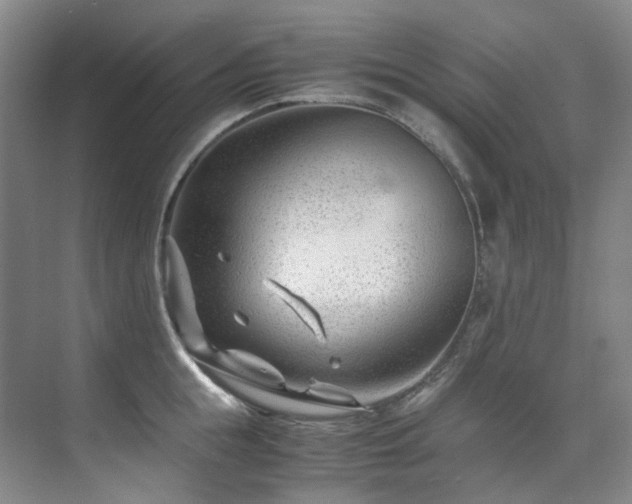 X0000075840855200609151302