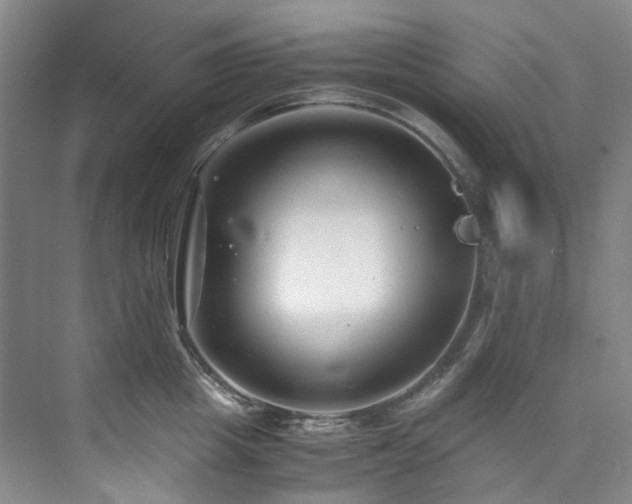 X0000075840857200609151302