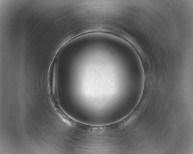 X0000075840858200609151302