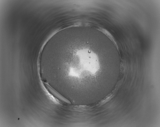 X0000075840859200609151303