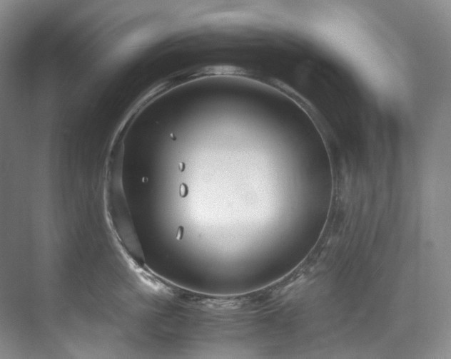 X0000075840861200609151303