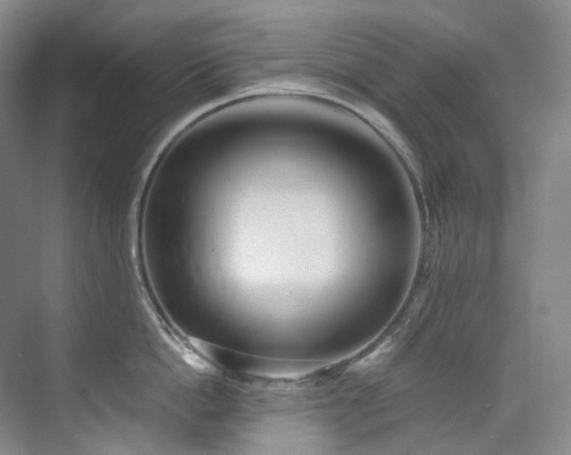 X0000075840862200609151303