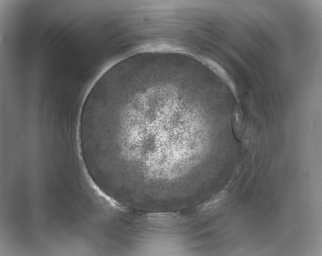 X0000075840863200609151303