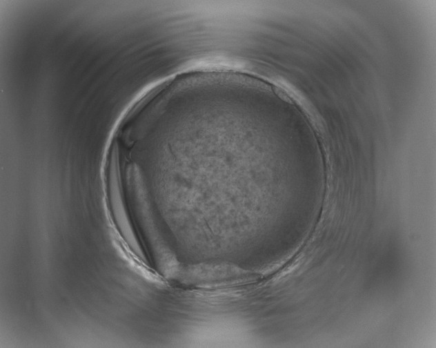 X0000075840864200609151303