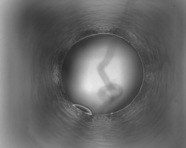 X0000075840866200609151302