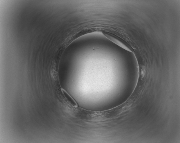 X0000075840867200609151302