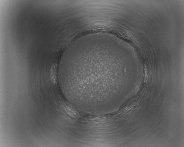 X0000075840868200609151302