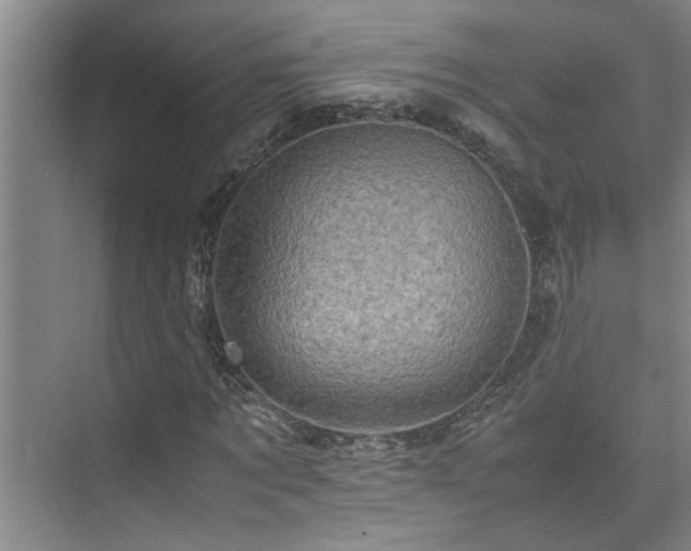 X0000075840869200609151302