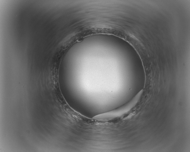 X0000075840870200609151302