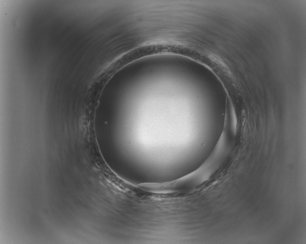 X0000075840872200609151302