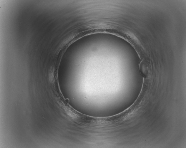 X0000075840873200609151302