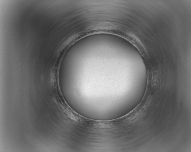 X0000075840874200609151302