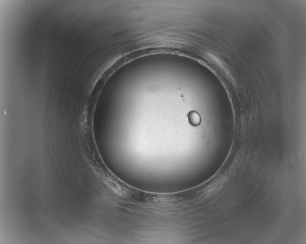 X0000075840875200609151302