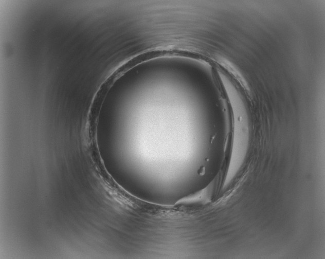 X0000075840876200609151302