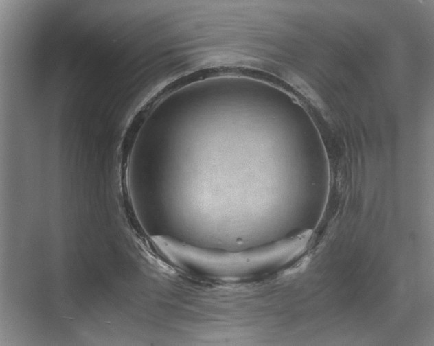 X0000075840877200609151302