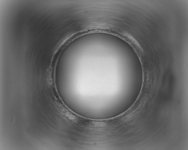 X0000075840878200609151302