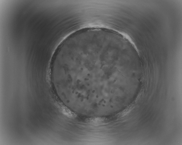 X0000075840879200609151302