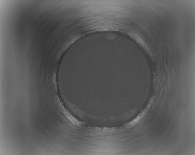 X0000075840881200609151302