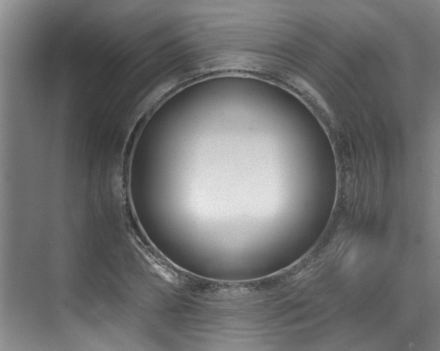 X0000075840882200609151301