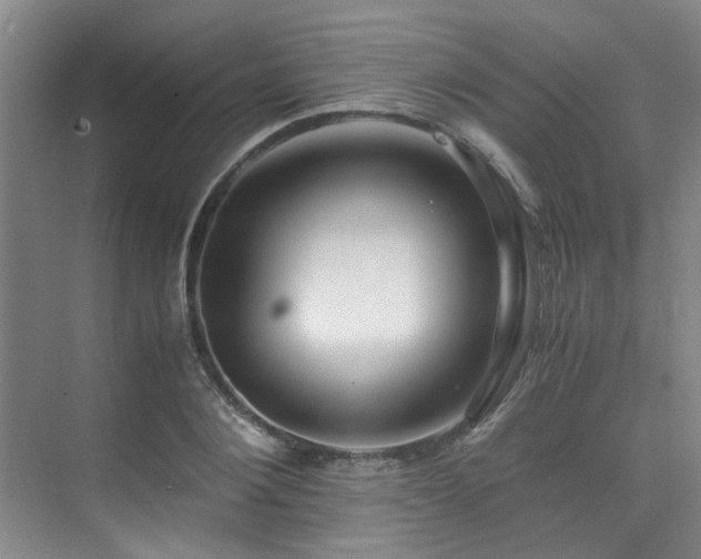 X0000075840884200609151301