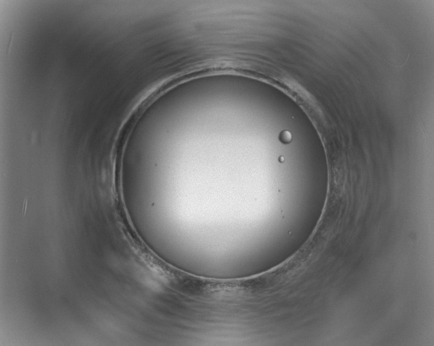 X0000075840886200609151301