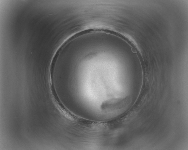 X0000075840887200609151301