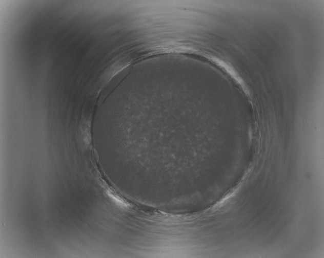 X0000075840889200609151301