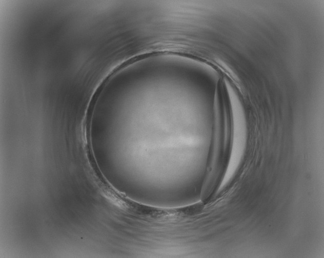 X0000075840891200609151301