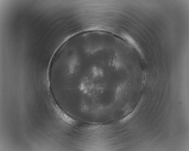 X0000075840892200609151301