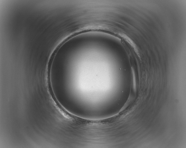 X0000075840894200609151301